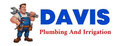 Trusted plumber in DAGUS MINES